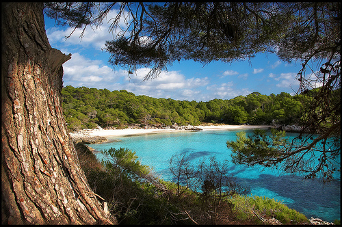 cala turqueta